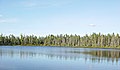 Jenny Lake Resort